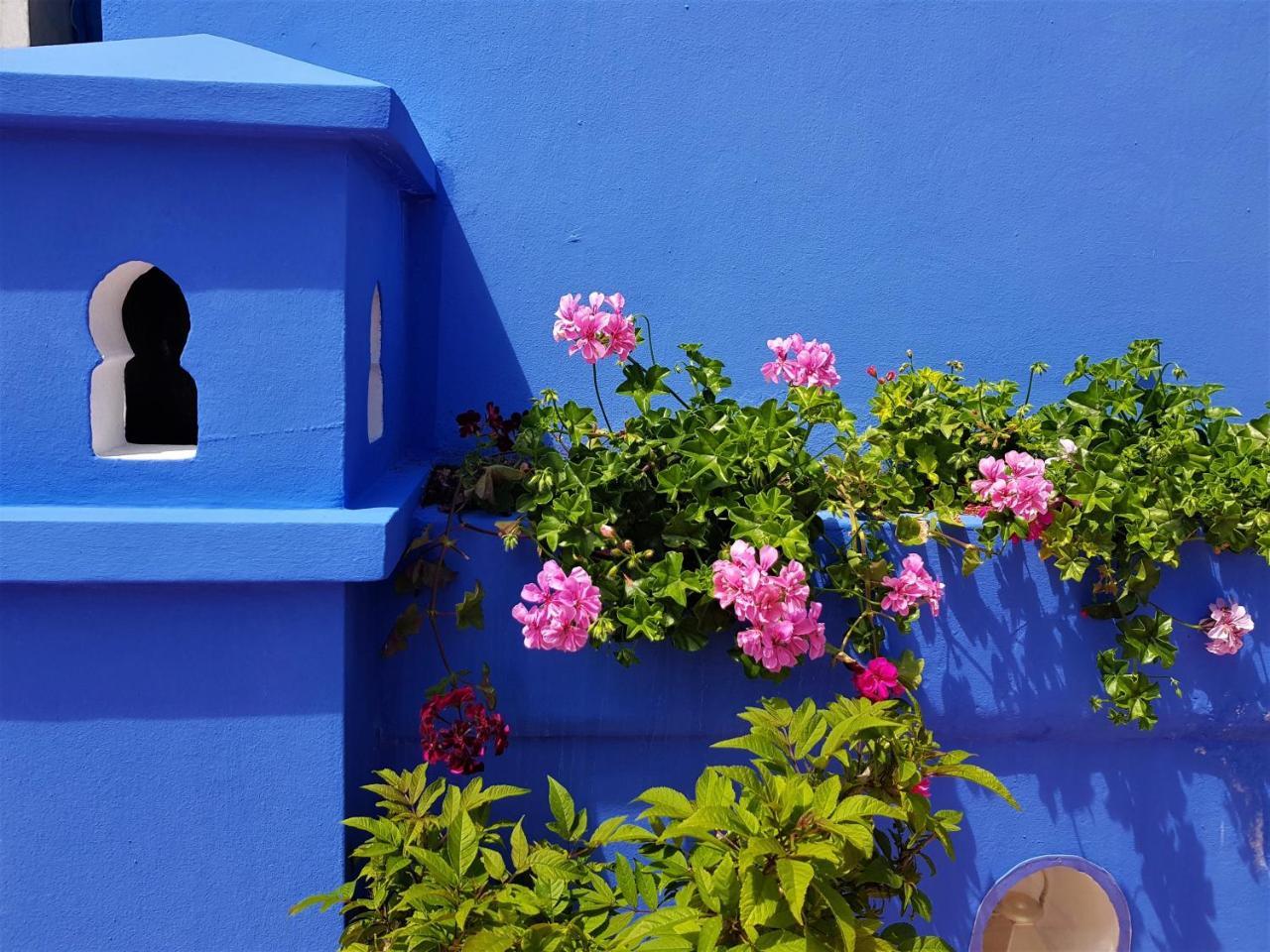 Dar Manara - Medina D'asilah
